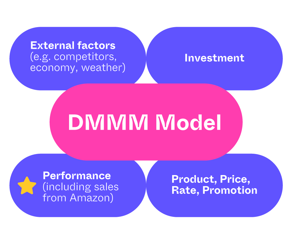 DMMM model